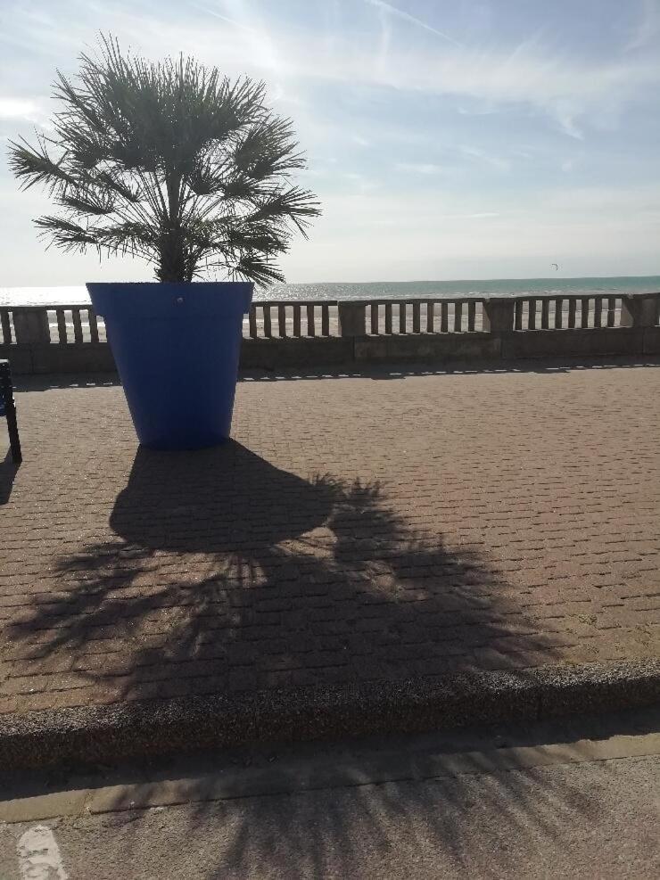 T3 Rez-De-Chaussee Lumineux Avec Terrasse Proche Plage Cucq Eksteriør billede