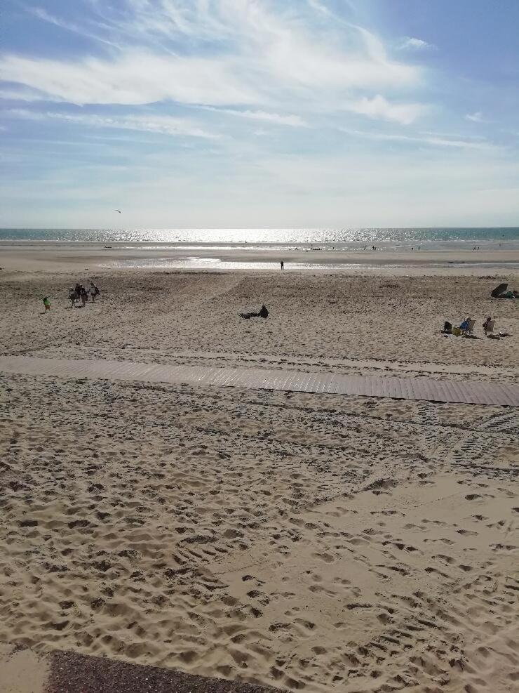 T3 Rez-De-Chaussee Lumineux Avec Terrasse Proche Plage Cucq Eksteriør billede