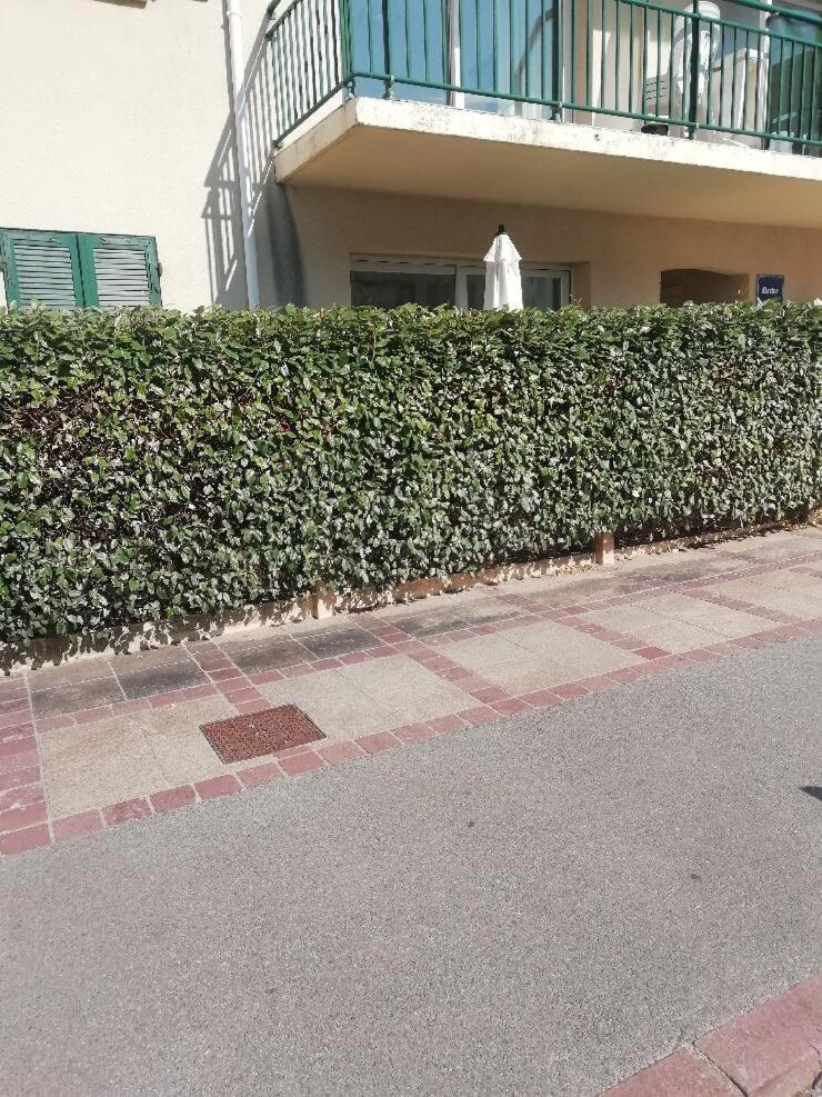 T3 Rez-De-Chaussee Lumineux Avec Terrasse Proche Plage Cucq Eksteriør billede